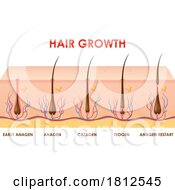 Hair Growth