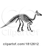 Olorotitan Dinosaur Skeleton