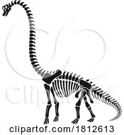 Brachiosaurus Dinosaur Skeleton