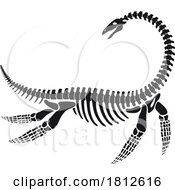 Elasmosaurus Dinosaur Skeleton