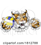 06/08/2024 - Wildcat Cougar Lynx Lion Volleyball Claw Mascot