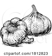 Garlic Bulbs by AtStockIllustration #COLLC1812823-0021