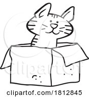 Poster, Art Print Of Cartoon Cat Sitting In A Box