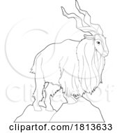 Poster, Art Print Of Markhor Licensed Black And White Cartoon Clipart