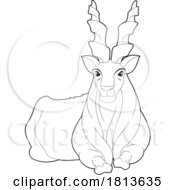 Poster, Art Print Of Markhor Licensed Black And White Cartoon Clipart