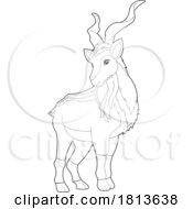 Poster, Art Print Of Markhor Licensed Black And White Cartoon Clipart