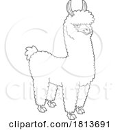 Poster, Art Print Of Llama Licensed Black And White Cartoon Clipart