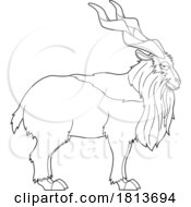 Poster, Art Print Of Markhor Licensed Black And White Cartoon Clipart