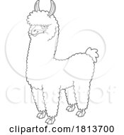 Poster, Art Print Of Llama Licensed Black And White Cartoon Clipart