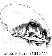 Poster, Art Print Of Bream Fish Chasing A Lure Licensed Cartoon Clipart