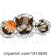 Poster, Art Print Of Boar Wild Hog Razorback Warthog Basketball Mascot