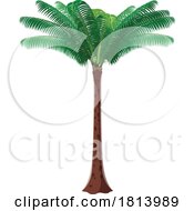 Poster, Art Print Of Palm Tree Licensed Stock Image