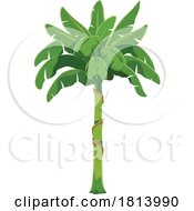 Poster, Art Print Of Palm Tree Licensed Stock Image