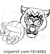 07/15/2024 - Panther Jaguar Leopard Volleyball Ball Claw Mascot