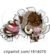 Poster, Art Print Of Boar Wild Hog Razorback Warthog Pig Cricket Mascot