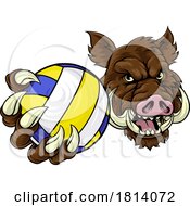 Poster, Art Print Of Boar Razorback Hog Volleyball Volley Ball Mascot