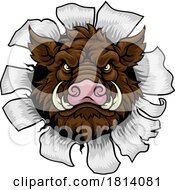 Poster, Art Print Of Boar Wild Hog Razorback Warthog Pig Sports Mascot