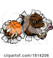 Boar Wild Hog Razorback Warthog Basketball Mascot