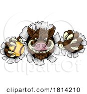 Poster, Art Print Of Boar Wild Hog Razorback Warthog Softball Mascot