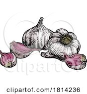 07/17/2024 - Garlic
