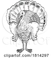 Wild Turkey With Hands On Hips Front View Cartoon Drawing