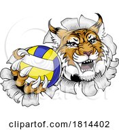 Poster, Art Print Of Wildcat Cougar Lynx Lion Volleyball Claw Mascot