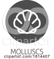 Seashell Shell Clam Mollusc Seafood Food Icon