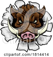 Poster, Art Print Of Boar Wild Hog Razorback Warthog Pig Sports Mascot