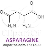 Asparagine Essential Chain Structure