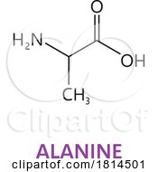 Essential Chain Structure CH3CHNH2COOH Alanine Amino Acid