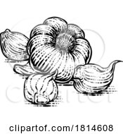 Garlic by AtStockIllustration