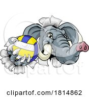 Poster, Art Print Of Elephant Volleyball Volley Ball Animal Mascot