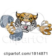 Poster, Art Print Of Wildcat Cougar Lynx Lion Weight Lifting Gym Mascot