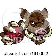 Poster, Art Print Of Boar Wild Hog Razorback Warthog Pig Cricket Mascot