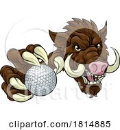 Poster, Art Print Of Boar Wild Hog Razorback Warthog Pig Golf Mascot