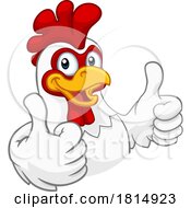 Chicken Cartoon Rooster Cockerel Character