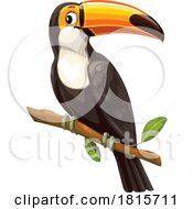 Perched Toucan Clipart