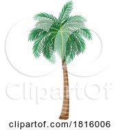 Poster, Art Print Of Palm Tree Clipart