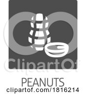 Peanut Nut Food Allergy Icon Concept