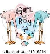 Cartoon Birds Looking At A Blue And Pink Egg Girl Or Boy Gender Reveal Design Clipart