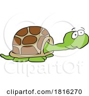 Cartoon Tortoise Clipart