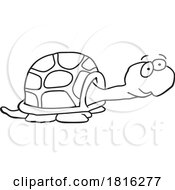 Cartoon Tortoise Clipart