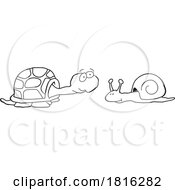 Poster, Art Print Of Cartoon Tortoise And Snail Clipart