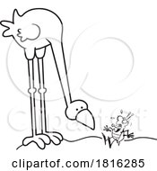 Poster, Art Print Of Cartoon Big Bird Observing A Scared Bug Clipart