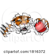 Poster, Art Print Of Tiger Cricket Ball Animal Sports Team Mascot