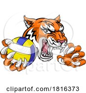 Poster, Art Print Of Tiger Volleyball Volley Ball Animal Sports Mascot