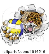 Poster, Art Print Of Jaguar Leopard Cheetah Panther Volleyball Mascot