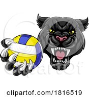 Black Panther Leopard Jaguar Cat Volleyball Mascot