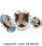 Poster, Art Print Of Boar Wild Razorback Warthog Weight Lifting Mascot