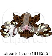 Poster, Art Print Of Boar Wild Hog Razorback Warthog Baseball Mascot